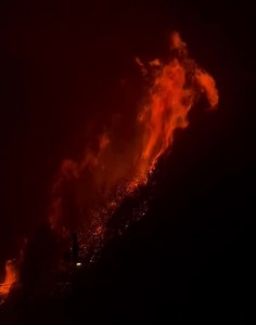 20K views · 435 reactions | Our thoughts are with everyone battling the Palisades Fire in California. 2921 acres, 0% containment. Extreme fire behavior, short & long-range spotting, continues to challenge firefighting efforts for the Palisades Fire. Winds gusts up to 60 MPH are expected to continue through Thursday. | NYC Fire Wire | Facebook