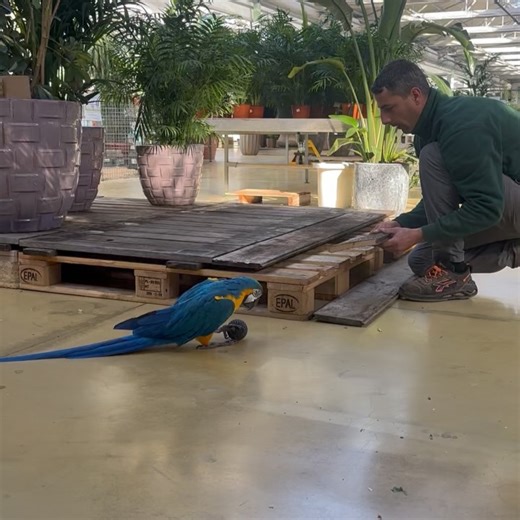 Greenhouse Garden Center on Reels