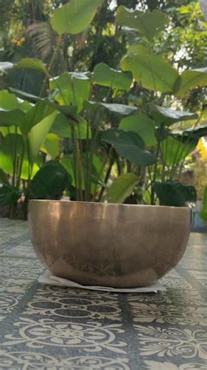 Sound Bowls: Healing Frequencies for Pet Wellness