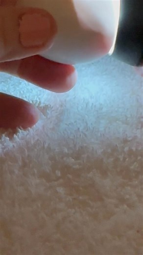 There are some very excited kids waiting for this baby to hatch.. so I sent them this vid of the little wriggler to keep them going until Sunday..2 more days is a long time for kids to have to wait!🫣😬😍🐣🤣👀 | Macaws And More