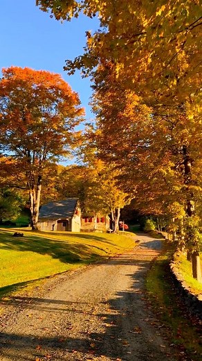 Steph Evelyne | The Green Mountain State is ablaze and I’m soaking up every second 🍁 . . . #vermont #vermontfall #newengland #mynewengland #newenglandfall... | Instagram