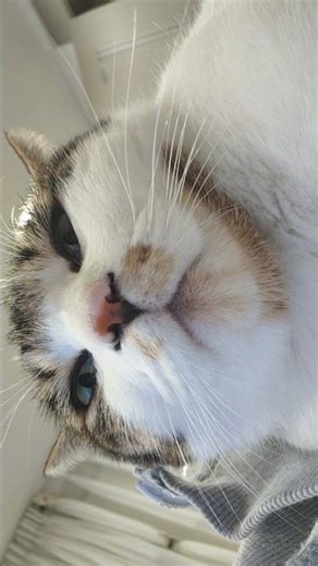 각도의 중요성 ㅋㅋ #하늘이