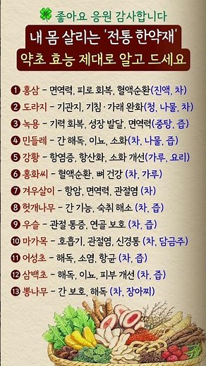 내 몸 살리는 전통 한약재 제대로 알고 드시면 효과가 달라집니다#전통한약재 #한약재효능 #건강정보 #면역력