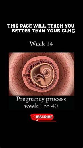 Embryo Development Week by Week | 3D Animation Explained 👶✨#gynecologist #embryodevelopment #biology