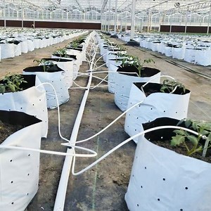 [Hot Item] Agriculture Drip Irrigation System Arrow Dripper Straight Arrow Dripper