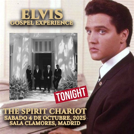 27K views · 1.3K reactions | ✨ ¡HOY ES EL GRAN DÍA! ✨  ELVIS...