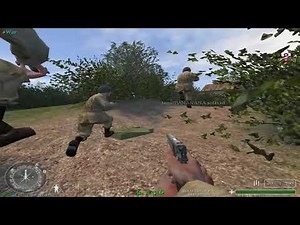 [CoDAM] PAM Beta [v1.1] [New hitmarker]