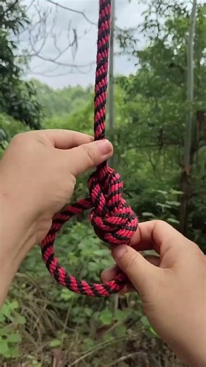 Usefully and vray easy knoy #practicalknots # knot tutorial #knot #sharing