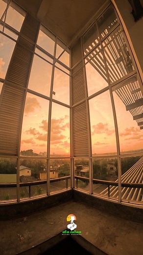 කැලණි සරසවියේ හැන්දෑවක් | University Of Kelaniya 🧡 . . . . . . . . #harithagaweshaka #හරිතගවේශක #universityofkelaniya #uok #unilife #kelani #university #univlog #UniLover #uoklive | Haritha Gaweshaka හරිත ගවේශක