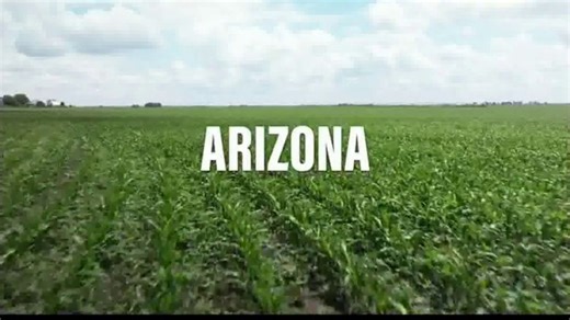 Liquid Death TV Spot, 'The Official Iced Tea of Arizona Nebraska'