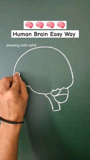 human brain easy diagram 🧠 #shorts #trending