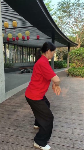 Tai Chi Power Training | Explosive Fa Jin Practice #taichi #chenstyletaiji #kungfu #taijiquan
