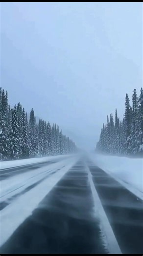 Joemar Sombero on Instagram: "Have you ever seen the Icefields Parkway like this? On December 26, 2025, relentless snowfall buried one of the most scenic highways on Earth. Snowbanks climbed, visibility collapsed, and the road disappeared into a moving wall of white. This is winter at full force in Banff National Park — beautiful, brutal, and unforgiving. This stretch doesn’t ease you in. It tests preparation, patience, and respect for the mountains. captures the scale. More to come. 📍 Alberta,