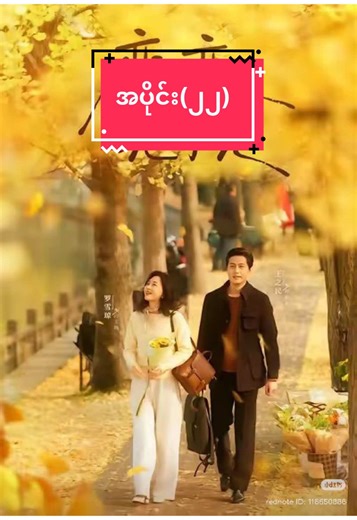 အခ်စ္ကိုသိချိန္အပိုင္း-22: မွတ္တမ္းမ်ား