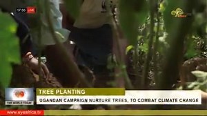 1.2K views | UGANDAN CAMPAIGN NURTURE TREES, TO COMBAT CLIMATE CHANGE | EYE Africa TV Online | Facebook