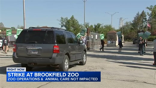 More than 100 Brookfield Zoo Chicago workers go on strike; some exhibits closed