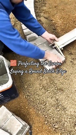 ​Precision Paver Installation: Creating a Curved Brick Tree Ring