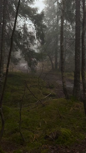 How?!😳 #mtb❤️ | Birk Sport