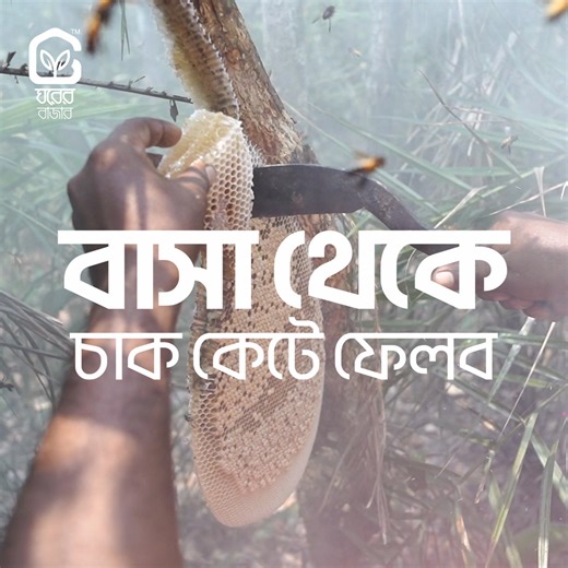 1.1K reactions · 7 comments | মধু! নাম টা শুনলেই মিষ্টতায় ভরে উঠে মন।...