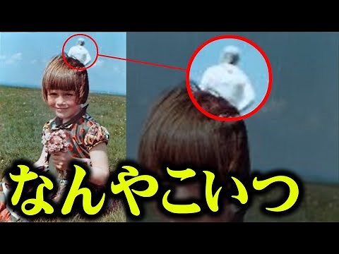 [Alien Photos] Photos that prove there are unknown creatures in this world! 5 mysterious photos t...