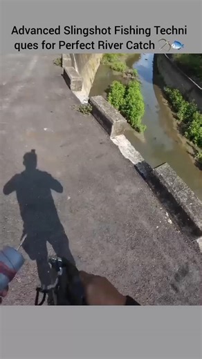 TalkTrend on Instagram: "Mastering the Art of Slingshot Fishing with Extreme Precision from the Bridge 🎯🐟 #Shorts​#SlingshotFishing #FishingLife #Bullseye #PrecisionFishing ​🎯 Incredible Accuracy 🎯 Watch How Modern Slingshot Gear Makes Fishing Look Effortless! ​Fishing with a slingshot from an elevated position like a bridge requires a deep understanding of refraction and projectile physics. The moment the hunter releases the specialized dart, it must pierce the water at a specific angle to 