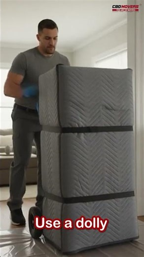Move Faster on Moving Day 🚚 | Use a Dolly & Save Time! | CBD Movers New Zealand #shorts