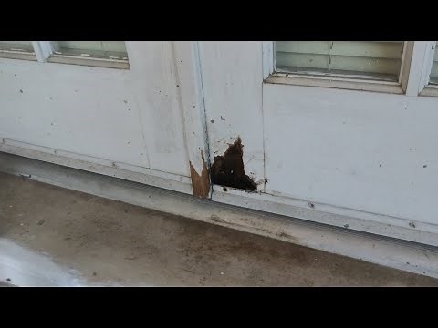 Repairing Rot on an Exterior Door