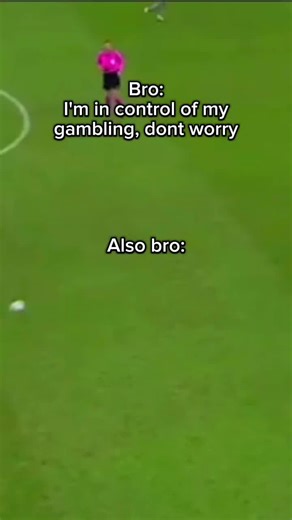 Cat Stack Challenge on TikTok