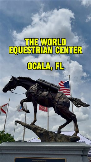 Kevin | Travel Guide ✈️ 📍 on Instagram: "Giddy Up! 🏇 Join me as we explore The World Equestrian Center in Ocala, FL! ✨ @worldequestriancenter Featuring live horse shows, pop up events, a Toy Shop, delicious treats and more! 🍦 #Disney #FREE #horses #festivals #parades #trending #events #family #fun #explorepage #travel #travelguide #weekend #tours #tourguide #summer #orlando #vacation #summer"
