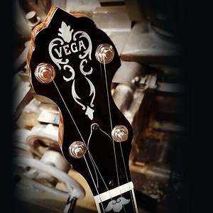 Vega® #2 Banjo
