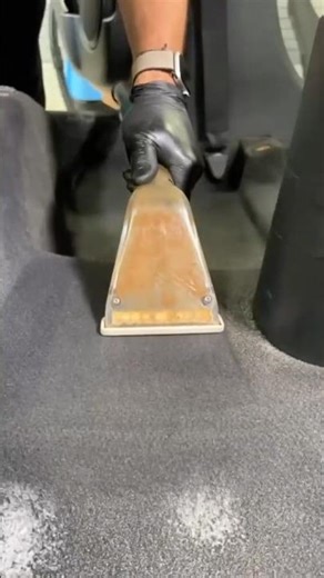 Super Satisfying Vehicle Carpet Cleaning!