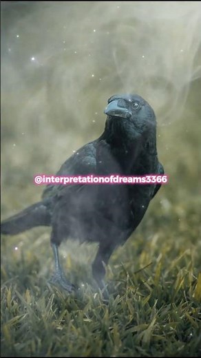 Crow Dream Meaning 🐦⚠️ | The Warning Sign of an Unreliable Person in Your Dreams
