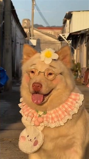 CHEETO LOVE'S MAKE UP AND WIG OUTFIT