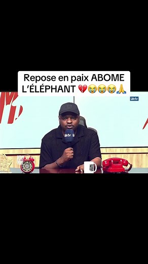 Décès d'Abomé l'Éléphant : hommage et résumé de sa carrière