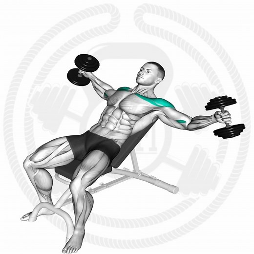 Programa de Pecho Total | Fitness routines