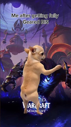 270 prot pally hbu? #fyp #wow #worldofwarcraft #warcraft #wowmidnight