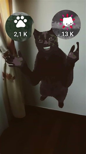 #cat