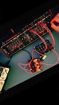 Chaos Control: Peterlin vs. Behringer Syncussion SY-1 (Experimental Hardware Jam) - excerpt 5 of 5