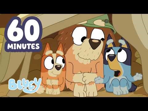 En Visite chez Grand-père 🧡 | Compilation d'extraits | Bluey Français Chaîne Officielle