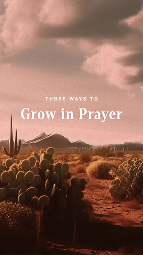 We polled our Community and many of you want to pray more, but find yourself lacking time, focus, or understanding of how to pray. Did you know that you can set Prayer Reminders in your Bible App? Open your Bible App, tap the More icon on the bottom of your screen and than tap Prayer. From there you can set a daily reminder to pray! | YouVersion