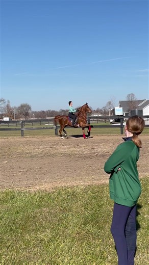 The Ultimate Guide to Saddle Seat Horse Riding