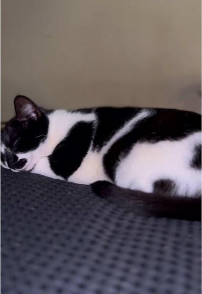 Day 1 editing Luna like a car guy