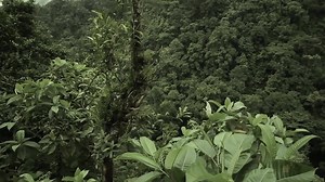 1.3K views · 40 reactions | Taka Tuka by Kapibara will take you on a trip through the dense jungle in the Patron Room. Expect the best music brought to you by national and international storytelling artists. Unchain your instincts and let yourself float in the music from Ten Walls, Raw District, DkA, Kapibara, Maxim Lany & KAISERR. | Extrema Outdoor Belgium | Facebook