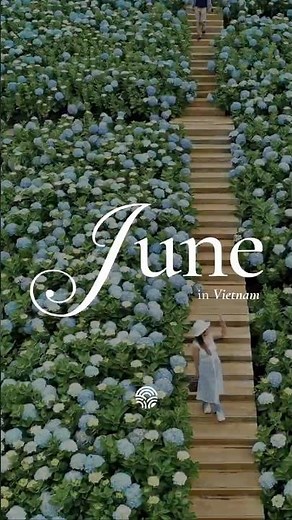🌿🇻🇳 Best Things to Do in Vietnam in June