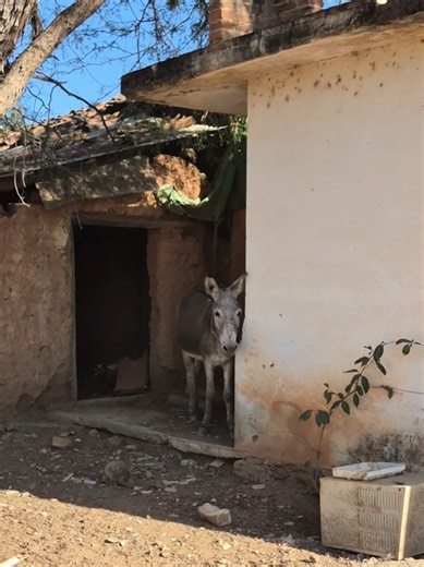 Exploring the Beauty of Rural Mexico