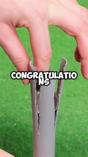 Discover Satisfying Reddit Moments to Brighten Your Day