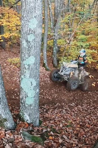 Autumn ATV Adventure Through Vibrant Forest Trails