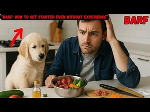 BARF in Three Steps: How to Get Started Even Without ExperienceDescription: