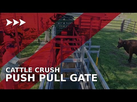 Push Pull gate and Point of Balance - a match made in cattle handling heaven