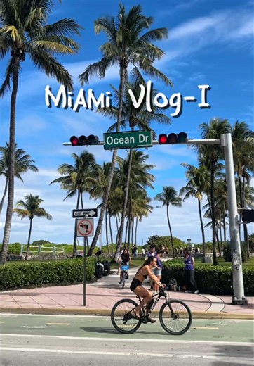 Exploring Sunny Miami: A Vibrant Vacation Vlog